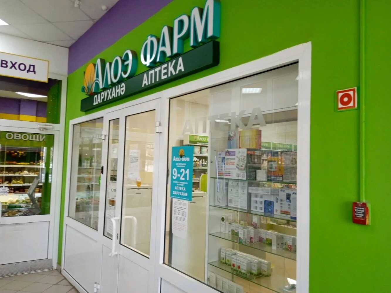 аптека алоэ во владимире. столетник аптека. аптека алоэ график работы. аптека алоэ в спб. аптека алоэ график работы.
