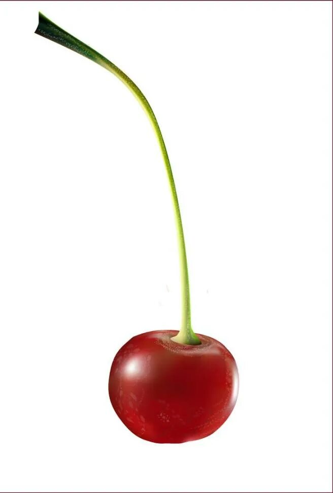 Как правильно вишенка. Как правильно вишенка. Как правильно вишенки. Как правильно вишенка. Как правильно вишенка.