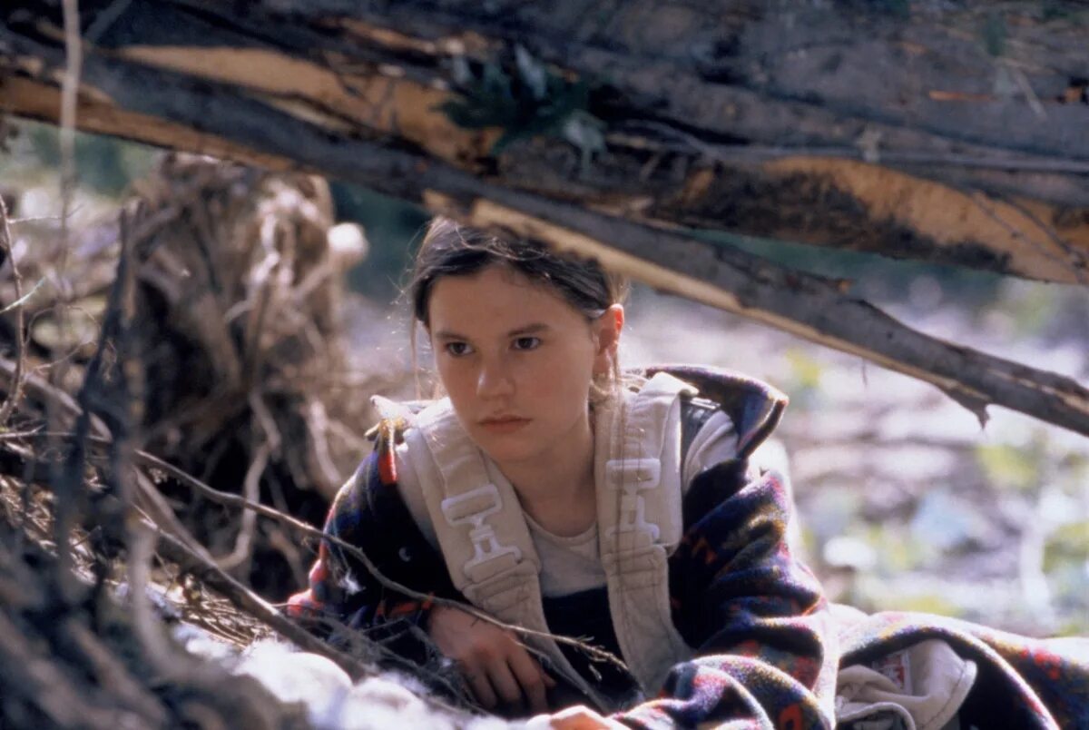 Fly away home 1996. Летите домой 1996. Fly away home. Летите домой 1996. Fly away home 1996 постер.