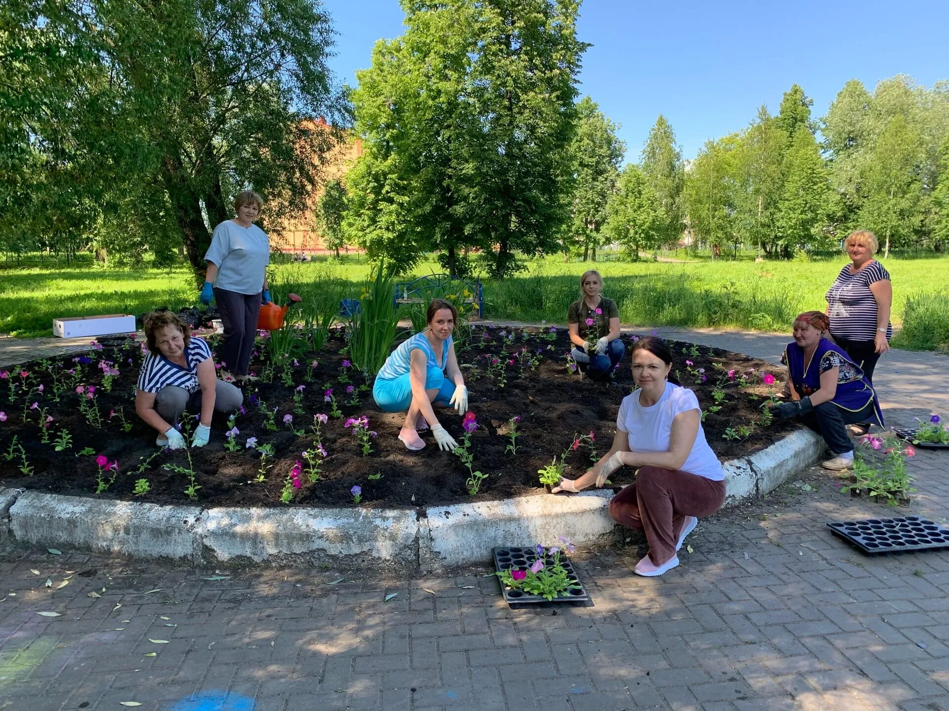 г цивильск ул никитина д7/69. рдк цивильск. ярмарка овощей в цивильске. торговый павильон цветы. цивильский цсон.