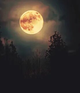 Lua true