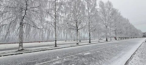 Погода в петрозаводске в ноябре