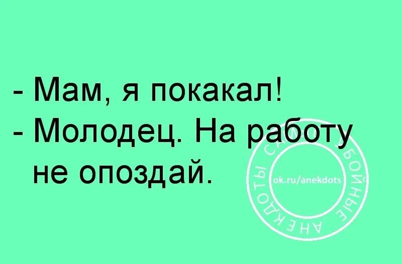 Я покакал. Анекдот мама я покакал. Картинка я покакал.