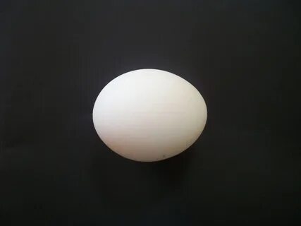 Long egg