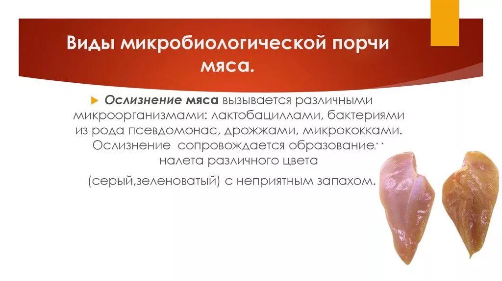 Виды микробиологической порчи