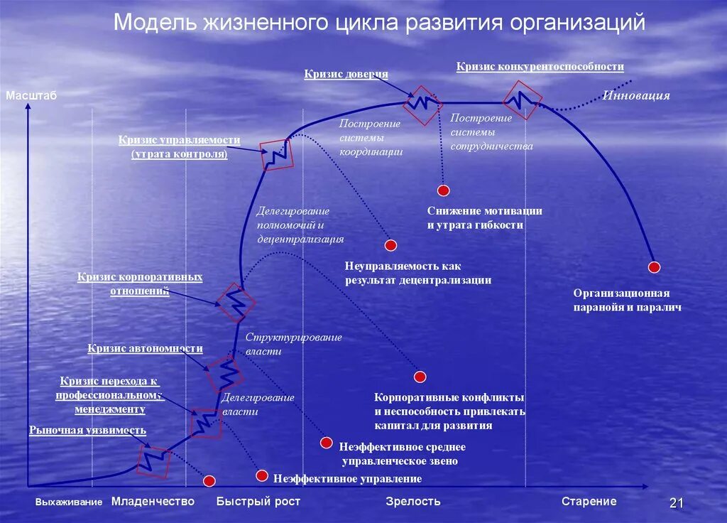 Модели управление жизненного цикла. Стадия жизненного цикла организации зрелость это. Модели жизненного цикла организации. Модель жизненного цикла предприятия. Жизненный цикл организации и кризисы.