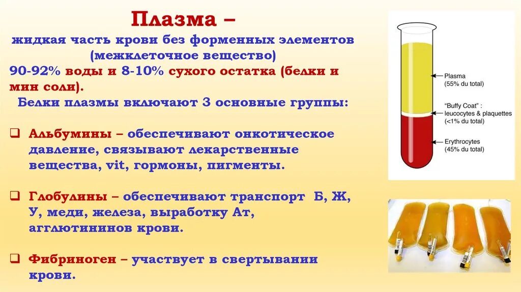 Плазма это кровь. Состав белков плазмы крови. Плазма крови и ее функции. Белки плазмы крови состав. Плазма крови строение и функции.