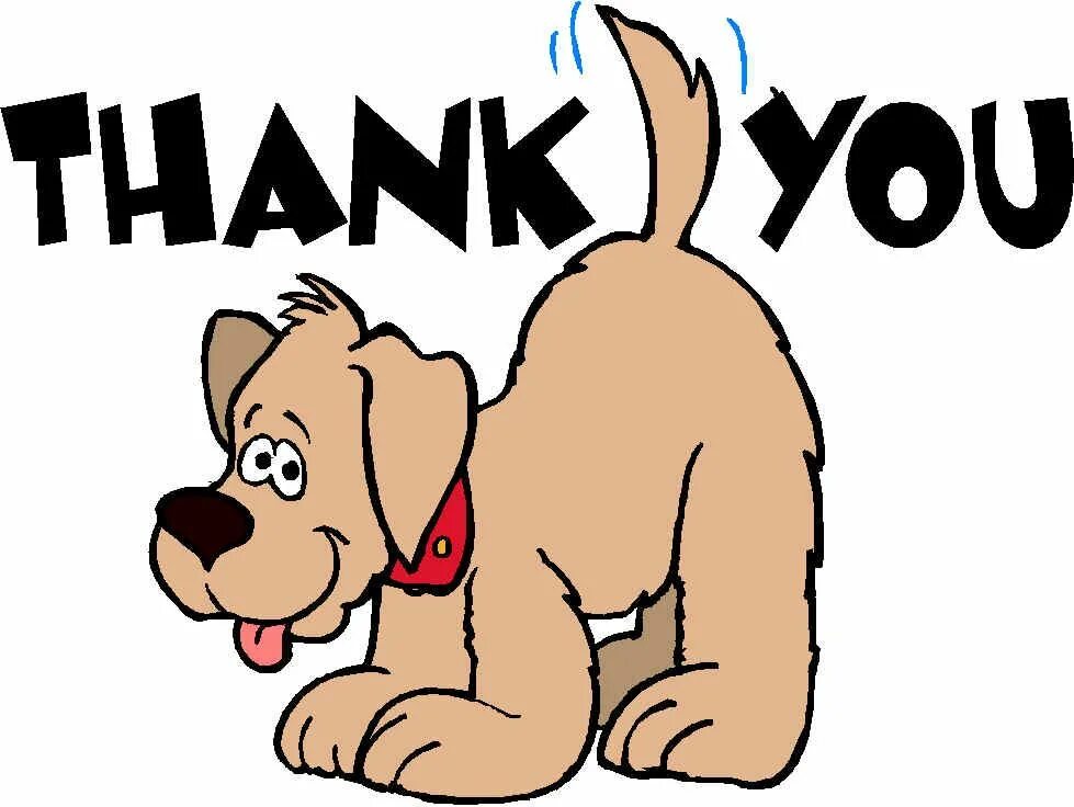 Thanks animals