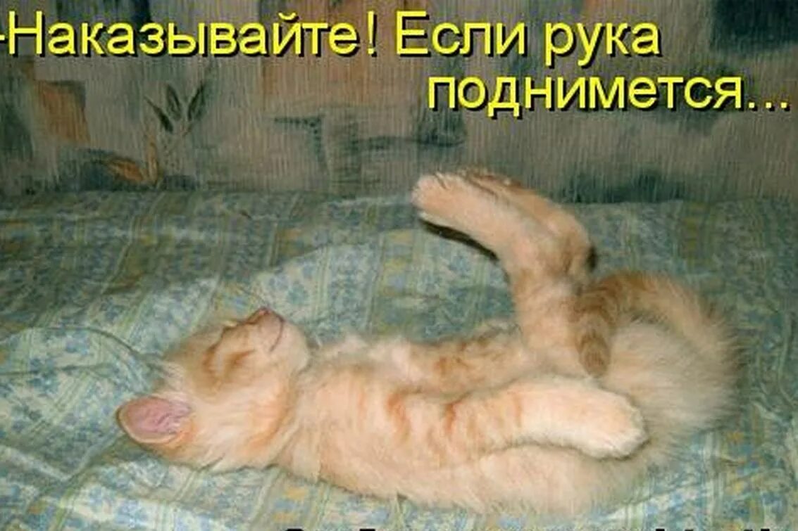 Плохо устала