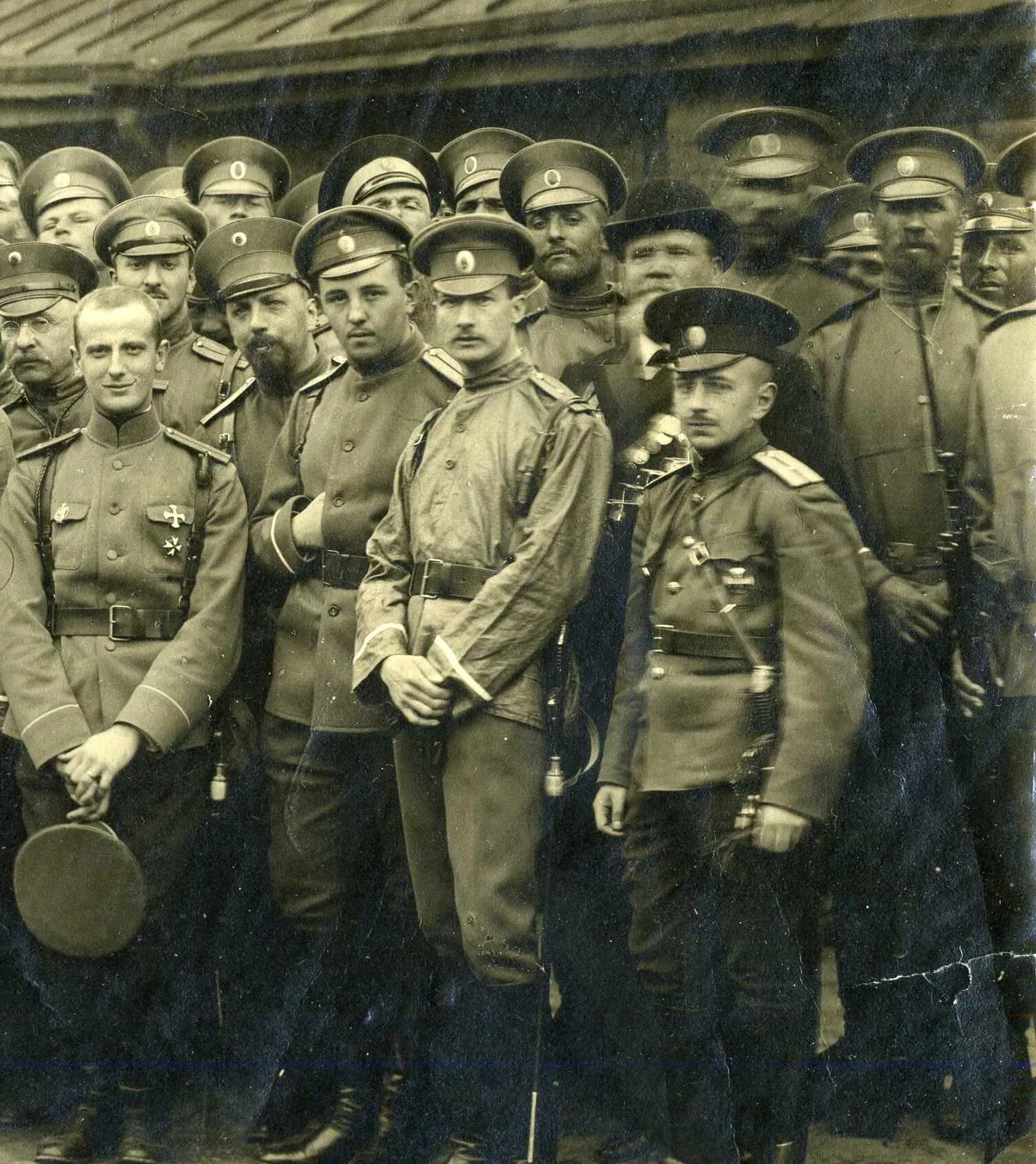 Полков риа