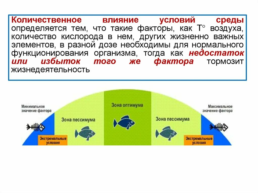 Увеличение продолжительности светового дня фактор среды. Влияние количественного фактора. Зависимость размера насекомых от количества кислорода. Количество кислорода в средах обитания. Пример количественного воздействия.