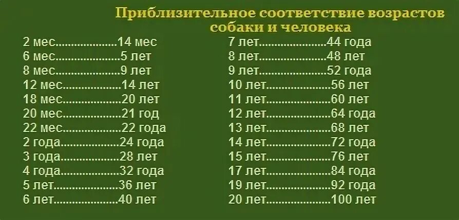 Сколько будет по человечески