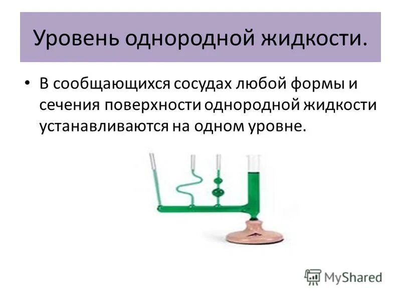 Сообщающиеся сосуды формулы 7 класс. Сообщающиеся сосуды физика формулы. Как располагается однородная жидкость сообщающихся сосудов. Свойства сообщающихся сосудов. Принцип сообщающихся сосудов.