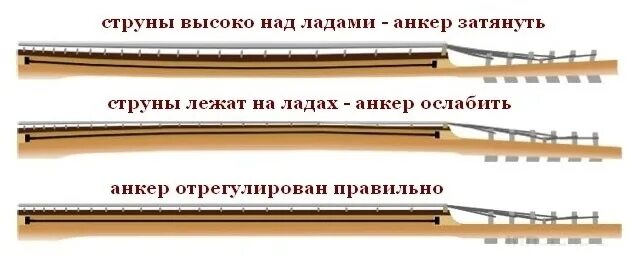 Анкер гитары в какую сторону. Регулировка анкера электрогитары. Прогиб грифа электрогитары. Регулировка анкера грифа бас гитары. Регулировка анкера.