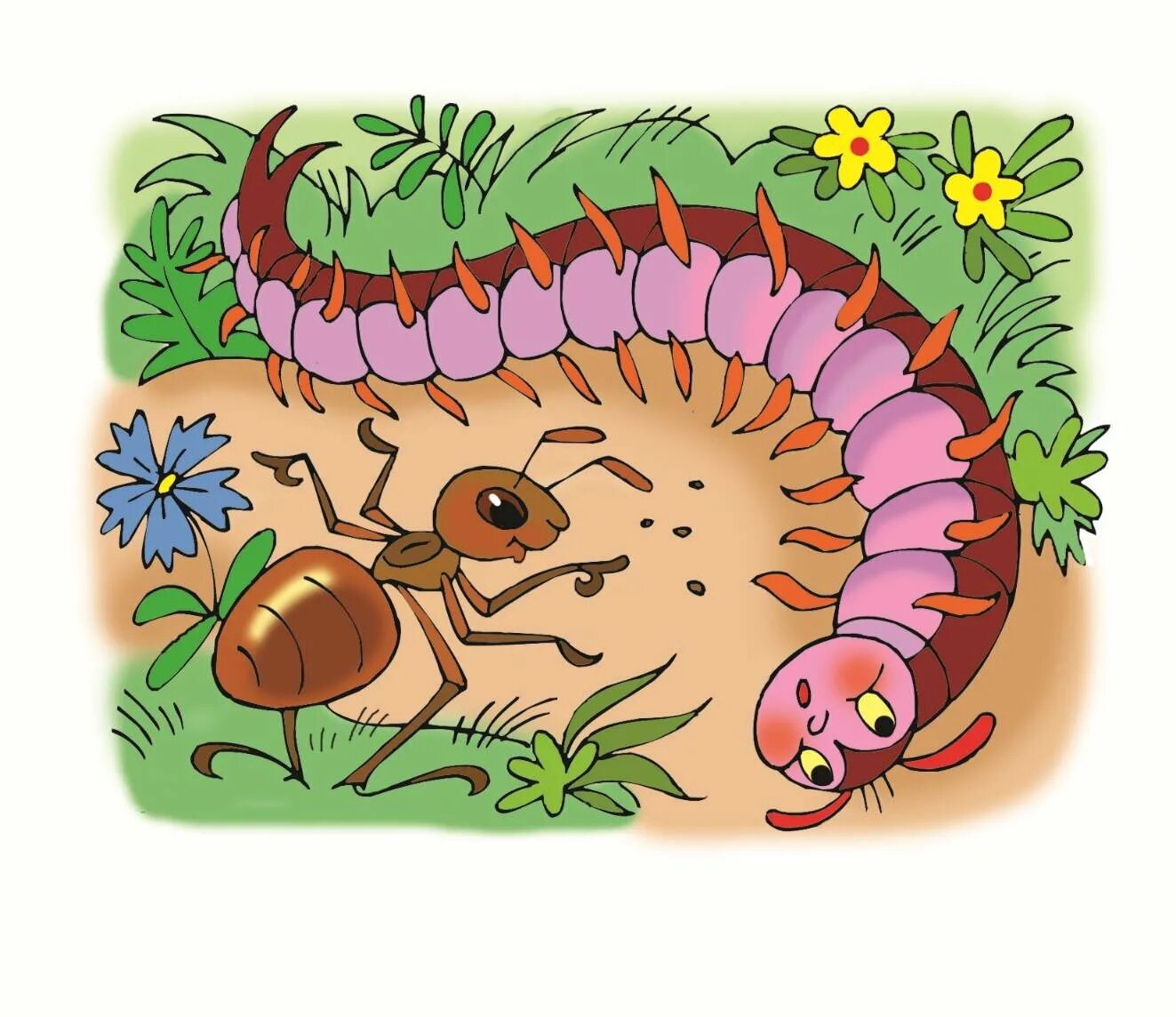 Сюжетная картина насекомые. Многоножка мультяшная. Гусеница - сороконожка. Пальчиковая гимнастика две сороконожки. Гусеница - сороконожка.