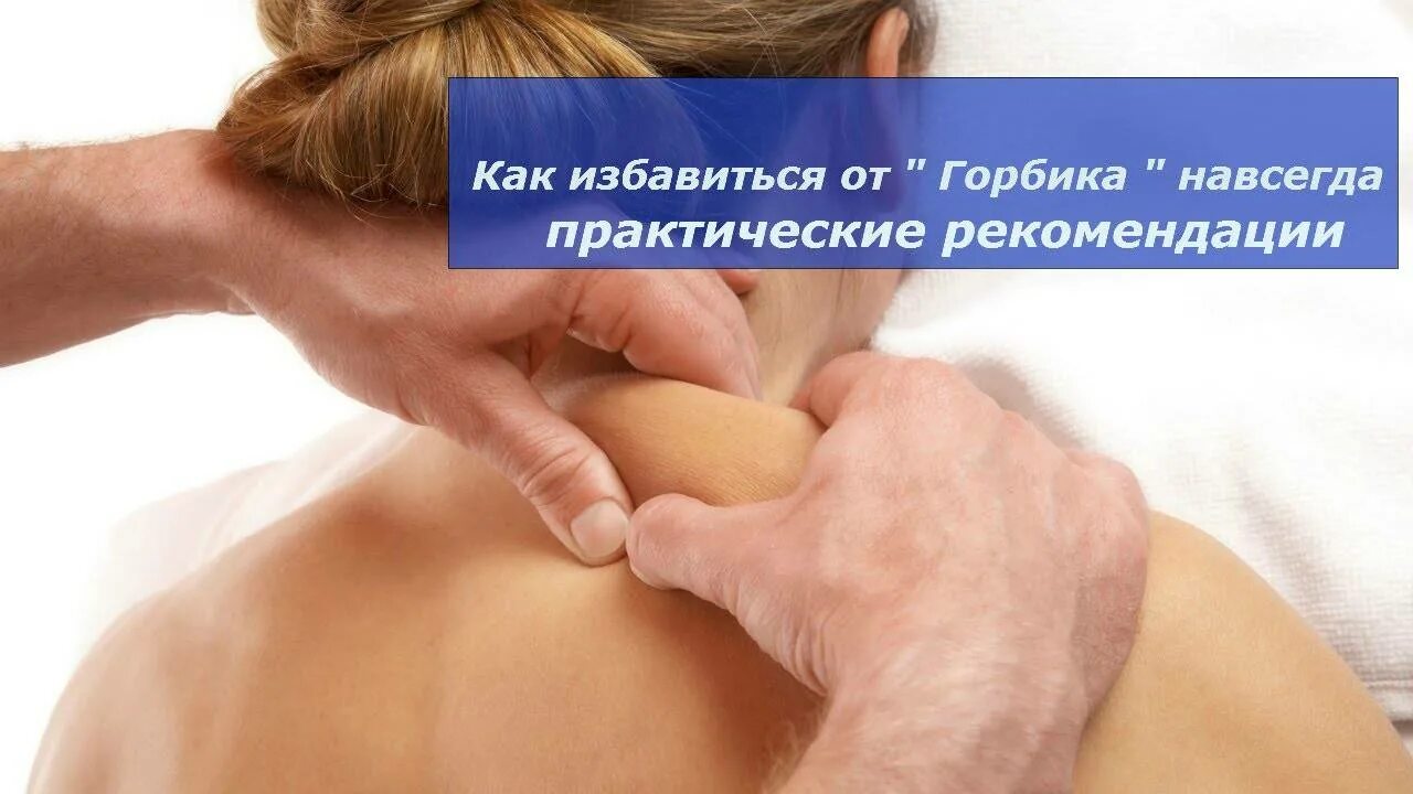 Как лечить холку. Как лечить холку
