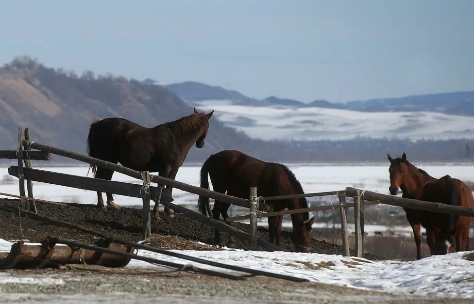 Кавказ карачаево-черкесия. Работа в карачаево черкесии. Туристы в карачаево черкесии домбай. Сады карачаево-черкесии. Работа в карачаево черкесии.