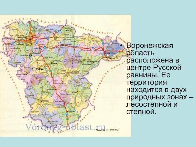 Карта Воронежской области подробная. Карта Воронежской области по районам подробная. Карта Воронежской области по районам с городами. Карта. Воронлжской обл..