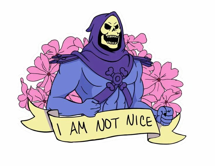 Not nice перевод