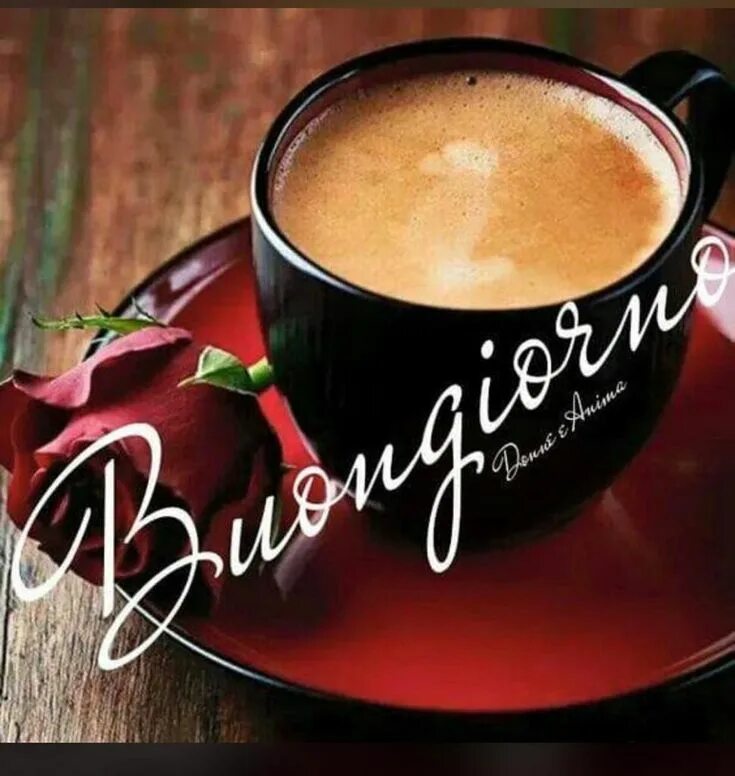 Buongiorno перевод. Кофе для любимого. Итальянское пожелание доброго утра. Доброе утро на итальянском языке. Пожелания доброго утра на итальянском языке.