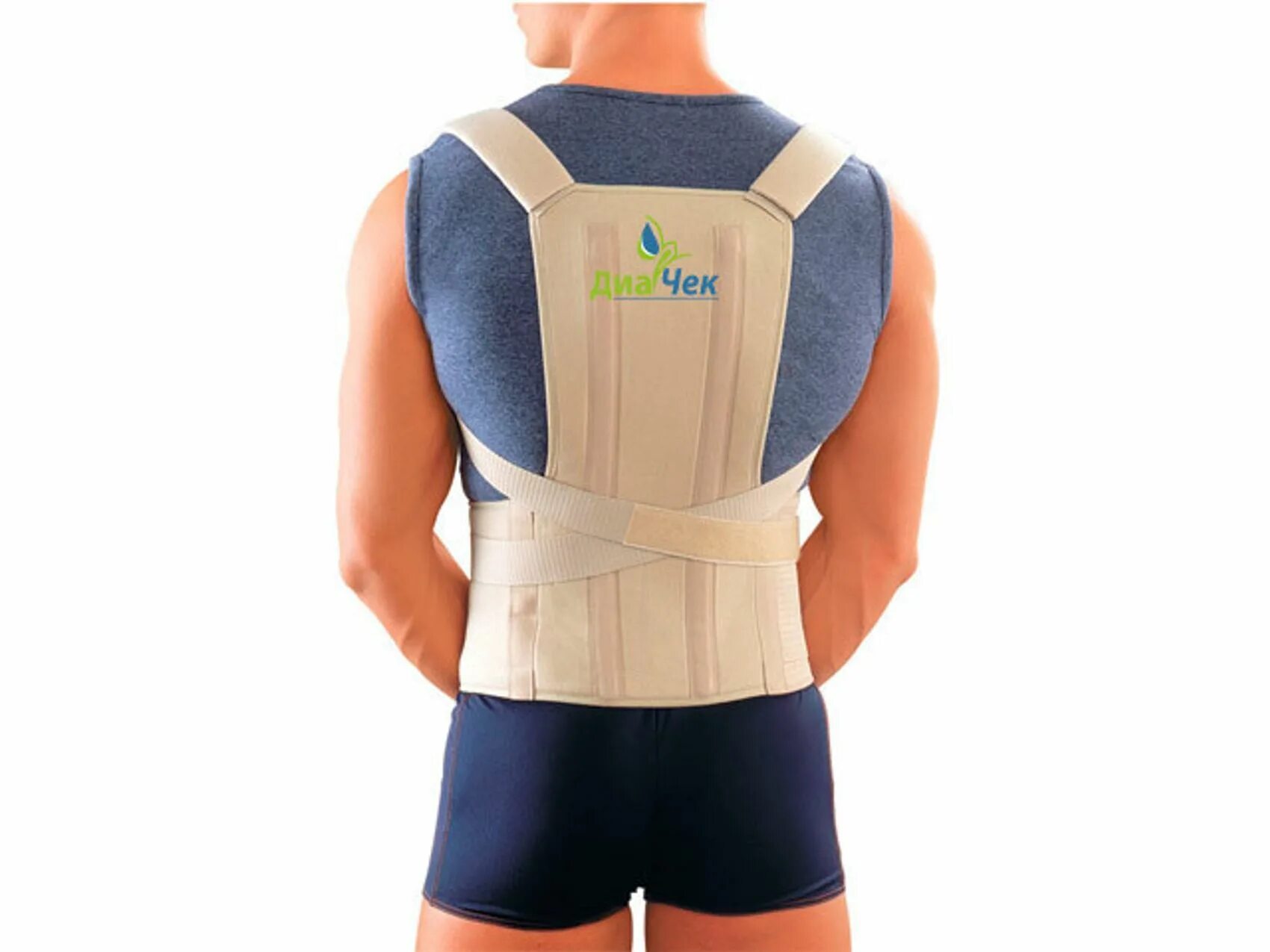 Ортез для позвоночника tlso 360a. Корректор осанки реклинатор грудного отдела позвоночника. Корректор tlso 360. Корректор tlso 360. Orlett tlso-360(a).