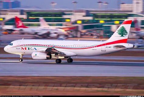 Middle east airlines