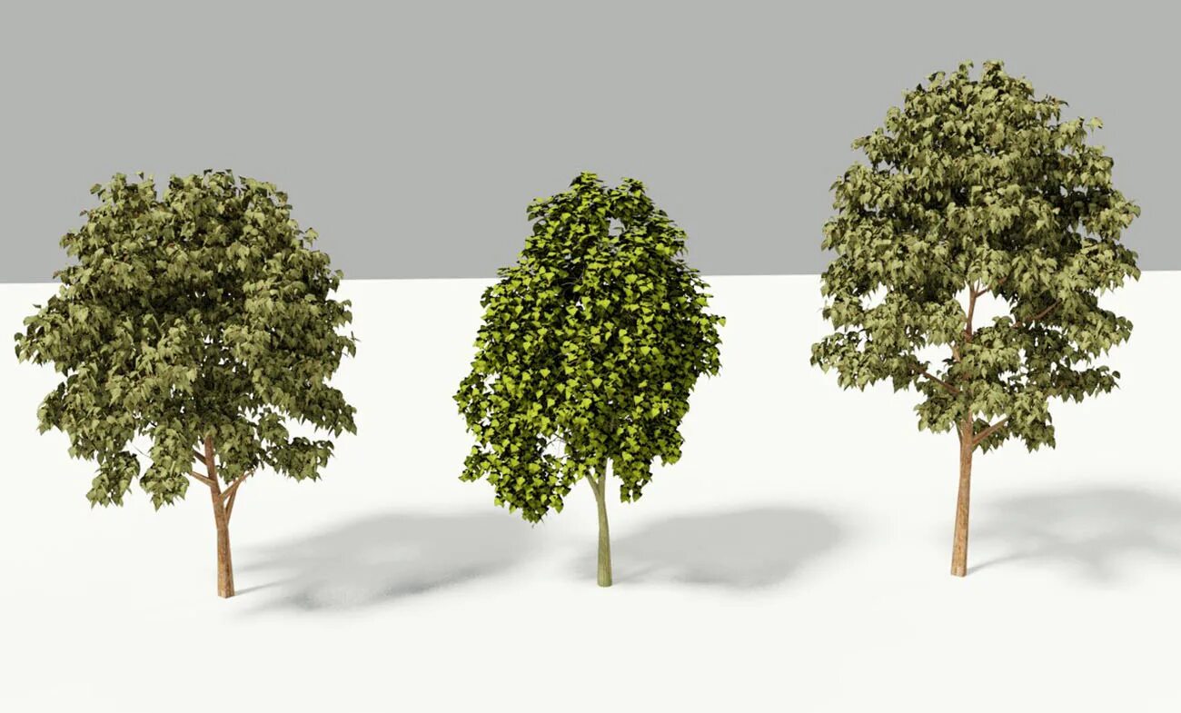 Tree 3