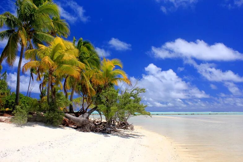 рук айленд остров фар край. необитаемые острова тихого океана. игра возвращение на таинственный остров. необитаемый остров 2. остров лингшан филиппинское море.