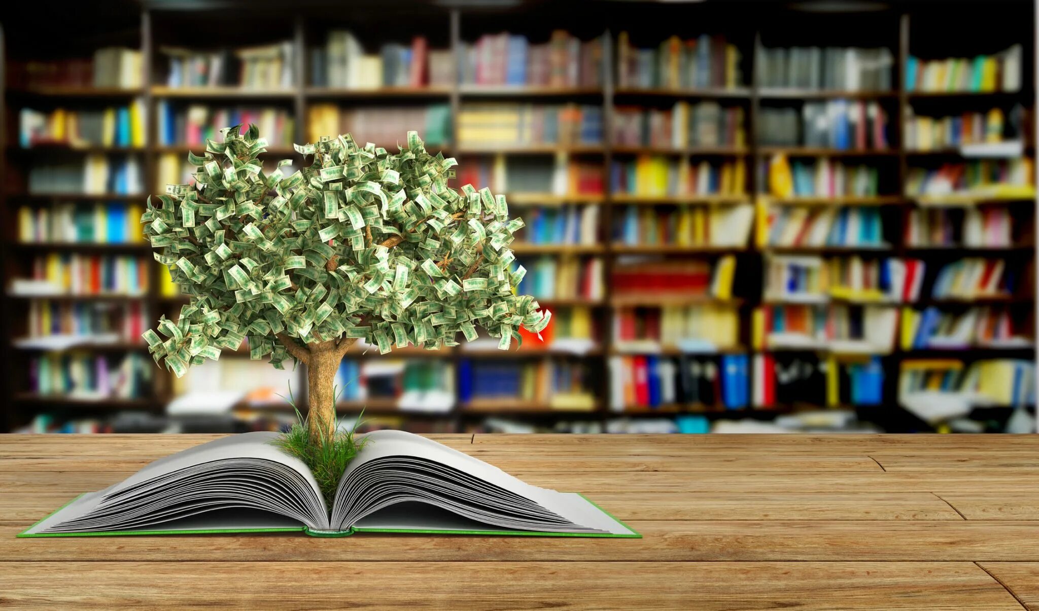 Писатель денег. Знания мудрость. Книга знаний. Знания и саморазвитие. Книжное дерево.