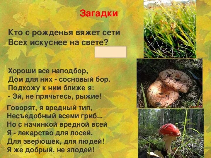 стихи забайкальских поэтов