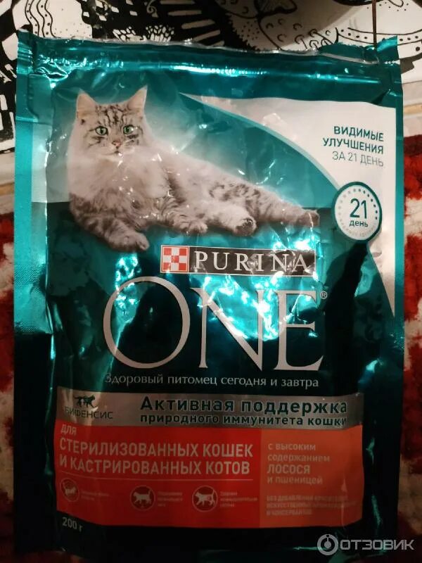 Проплан для котят сухой корм. Корм для кошек стерилизованных сухой фрискас. Корм для кошек whiskas 85гр. 5 кг. Валберис корм для кошек сухой 10 кг.