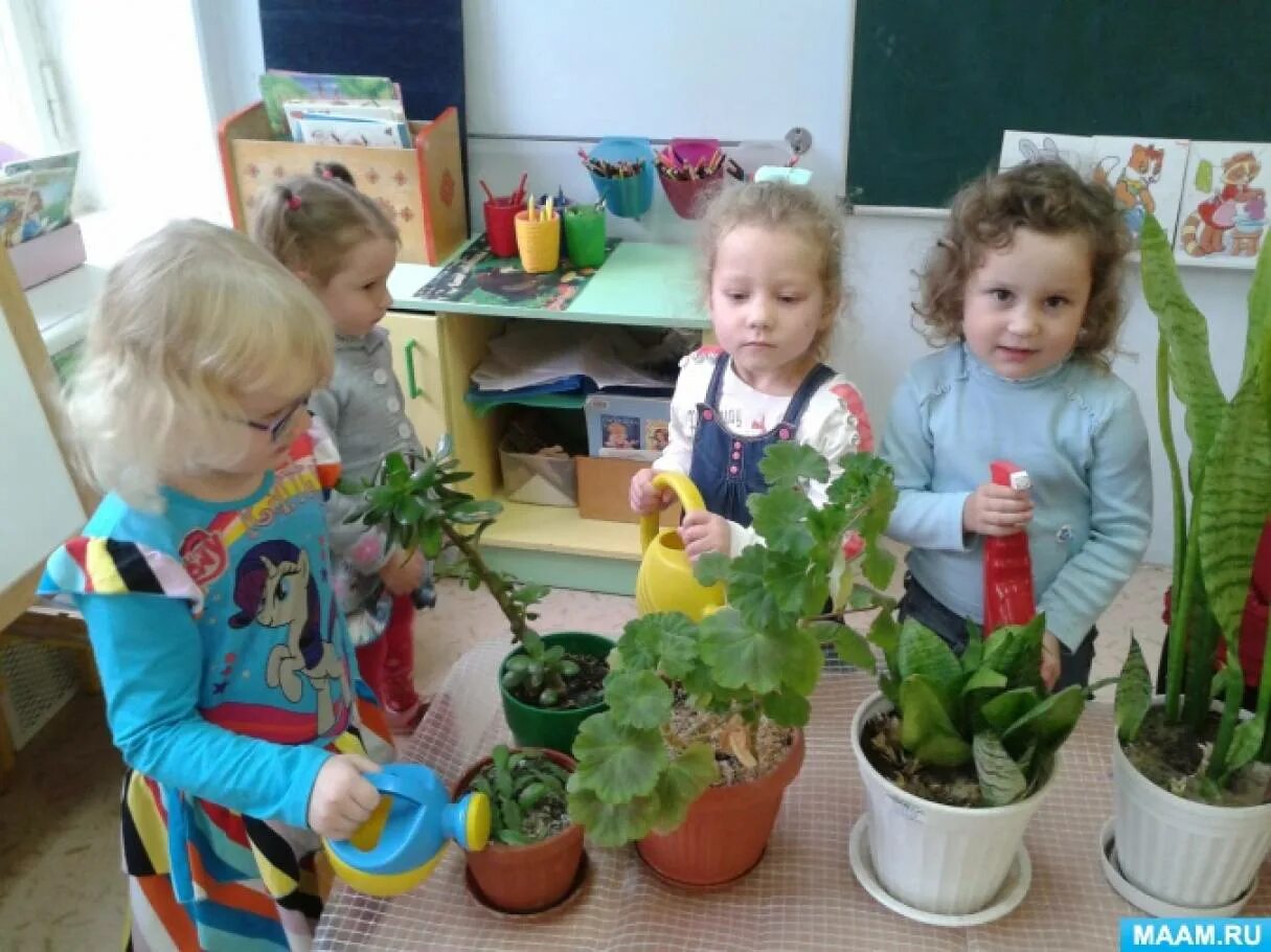 Комнатные растения в детском саду средняя группа. Цветы для детей в детском саду. Ухаживание за растениями в детском саду. Поливание цветов детский сад. Уголок труда средняя группа