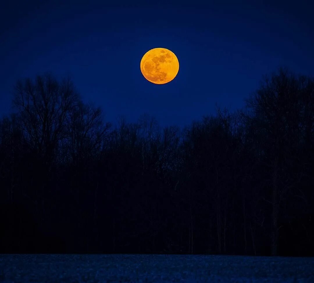 Большая оранжевая луна. Оранжевая Луна. Оранжевая Луна на небе. Луна большая оранжевая на небе. Оранжевая Луна ночью.