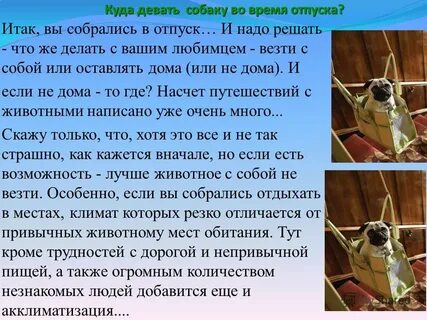 Куда деть щенков