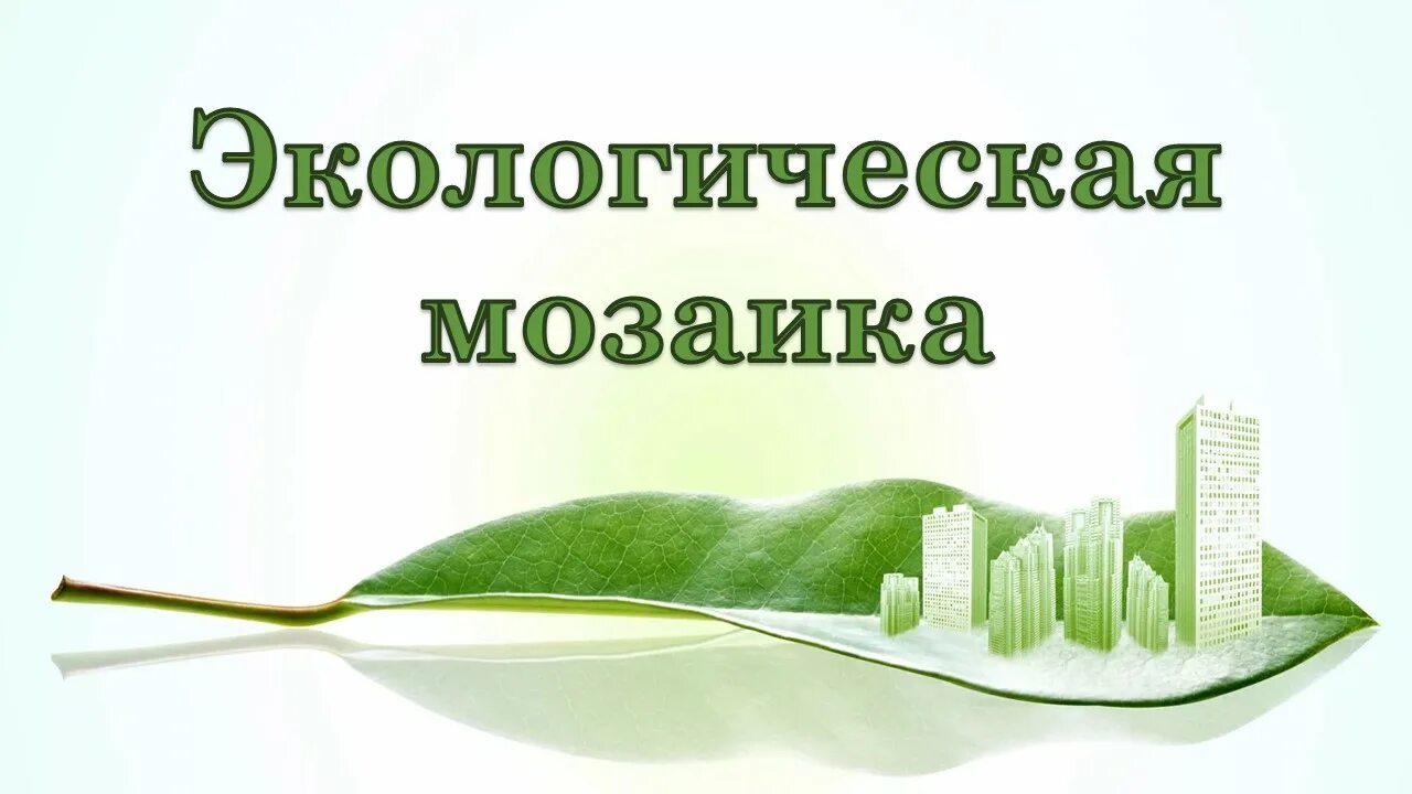 Конкурс проектных работ 2025