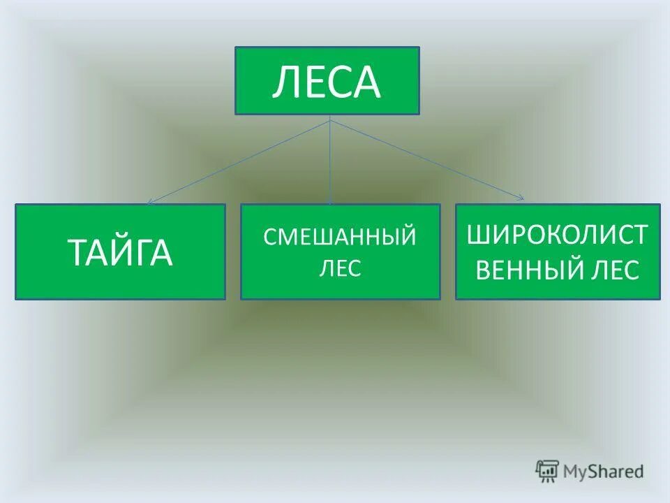 Окружающий мир 4 класс тест леса россии