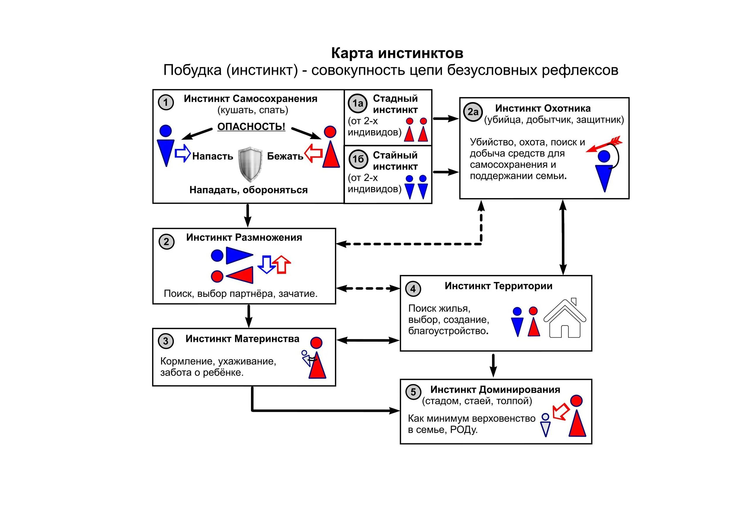 Инстинкт реакция. Инстинкты человека список. Базовые инстинкты человека. Примеры инстинктов у человека. Инстинкт схема.