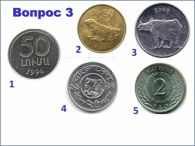 пять рядов по 4 монеты. 10 монет разложить в 5 рядов по 4 монеты в каждом. десять монет в пять рядов по четыре. разложите монетки. кучка монет.