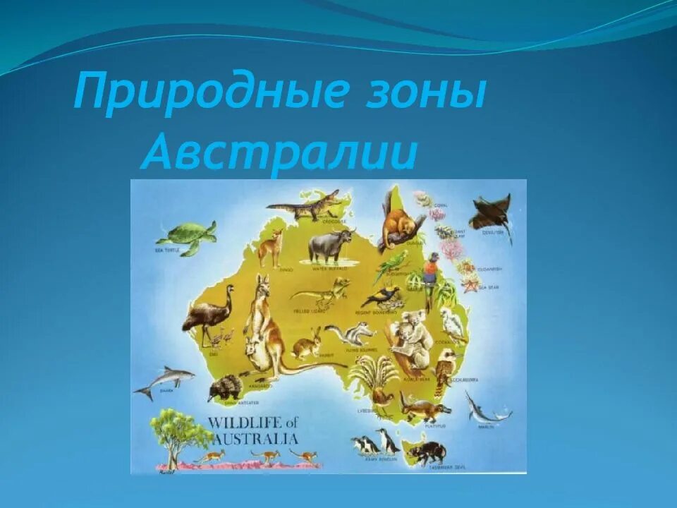 Природные зоны материка Австралия. Карта природных зон Австралии. Природные зоны Австралии 7. Природные Австралии зоны Австралии. Название природных зон австралии