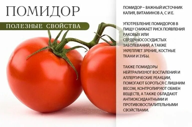 Полезные свойства помидора. Витамины в томатах свежих. Помидоры польза для организма человека свежие. Чем полезны помидоры. Чем полезны помидоры.