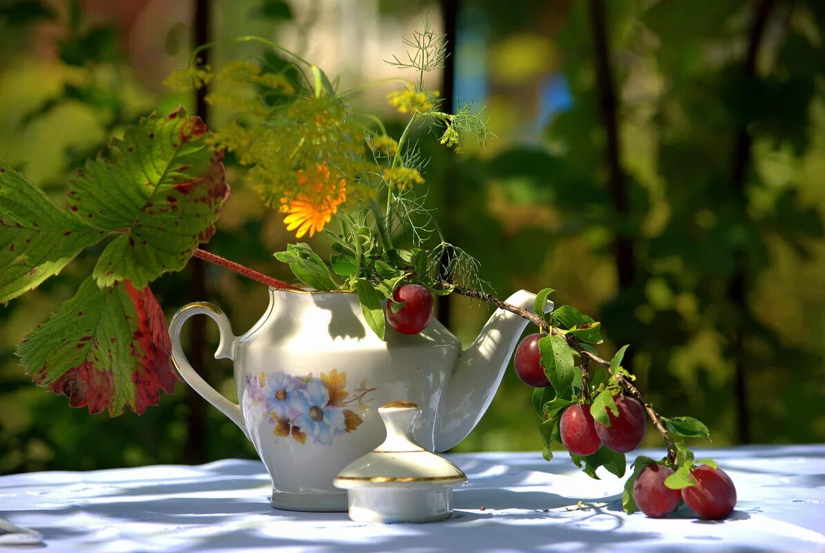 доброе утро лето. цветы на окне в деревне. открытки с добрым утром летние. летний пейзаж деревня. красивые летние цветы.