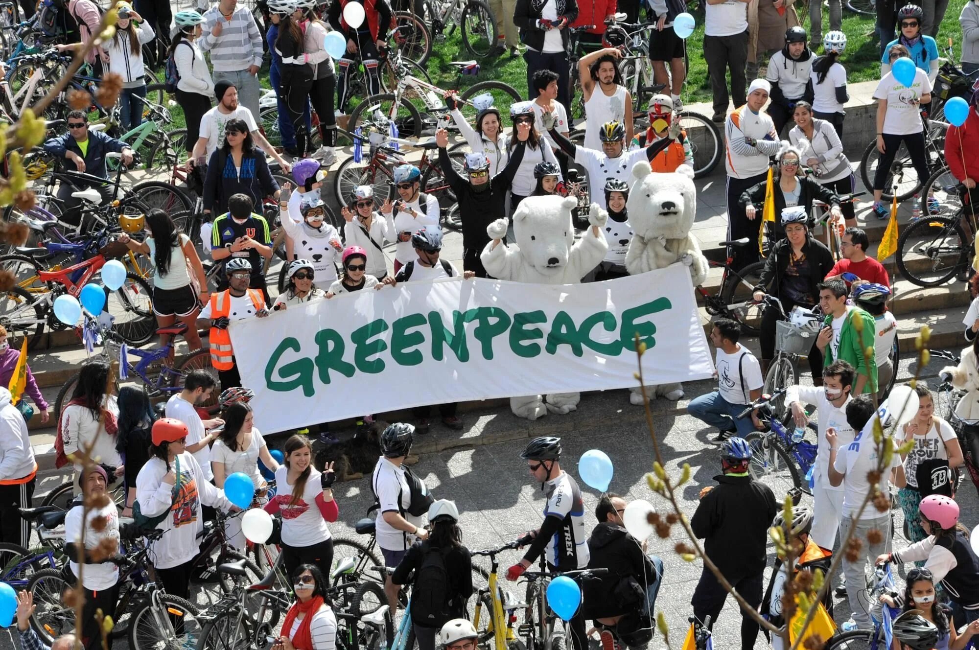 Greenpeace organization