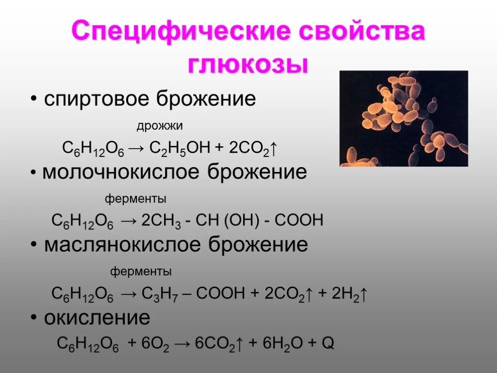 Глюкоза признак реакции. Химические свойства Глюкозы уравнения реакций. Химические свойства Глюкозы химия 10 класс. Химические свойства Глюкозы брожение. Химические свойства Глюкозы уравнения.