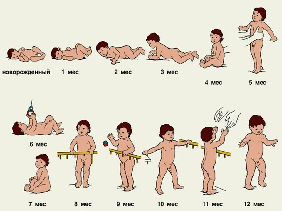 Схема развития ребенка до года. Этапы развития ребенка до 1 года. Развитие ребёнка по месяцам. Таблица развития новорожденного по месяцам.
