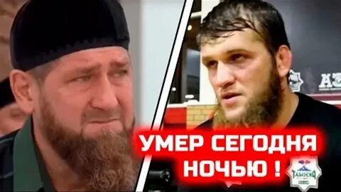 Керимов и кадыров
