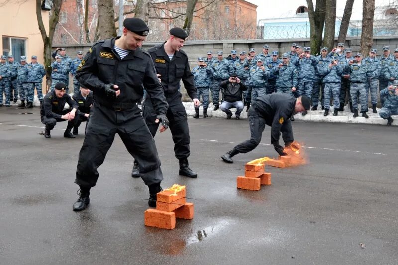 Полиция РФ ОМОН. Подразделение ОМОН. ОМОН милиция. ОМОН тренировка.