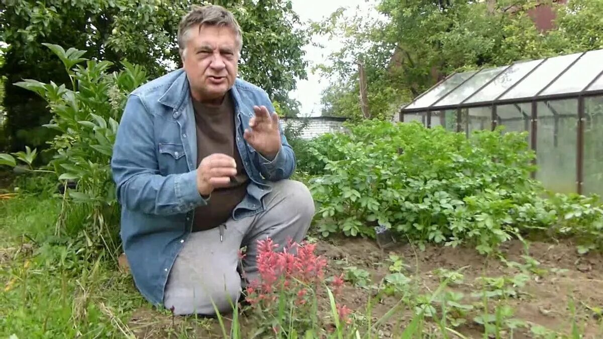 Андрей Туманов о картошечке без трудовых подвигов! "Ваши 6 соток" с Андреем Тума