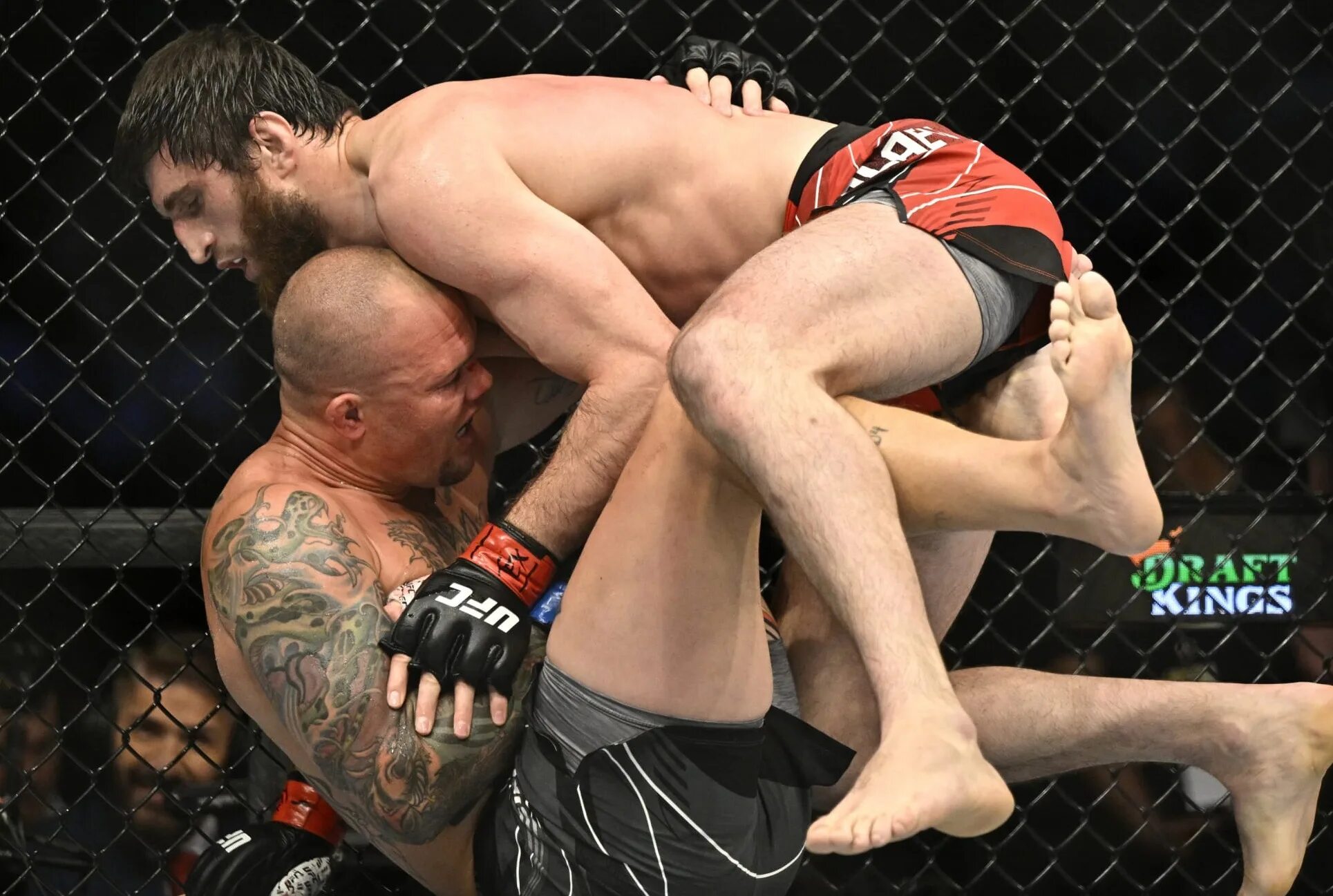 Анкалаев следующий бой. Магомед анкалаев ufc. анкалаев энтони смит. магомед анкалаев энтони смит.