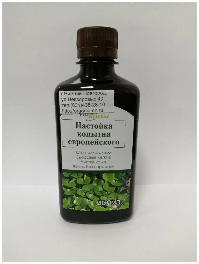 алкогольные травы. алкогольные травы. алкогольные травы. сбор трав от алкоголизма. настойка почек черного тополя.