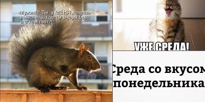 шутки про среду